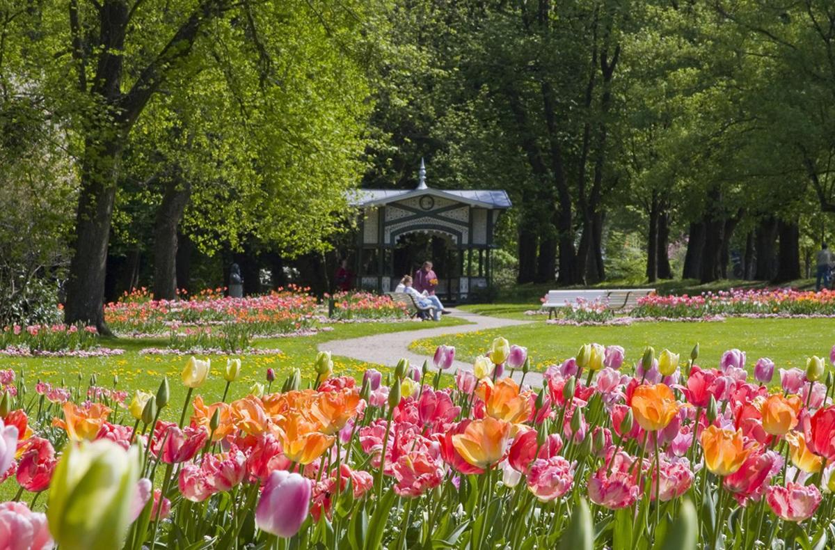 Eckberg Apartment Near City Centre & Nature バーデン＝バーデン エクステリア 写真