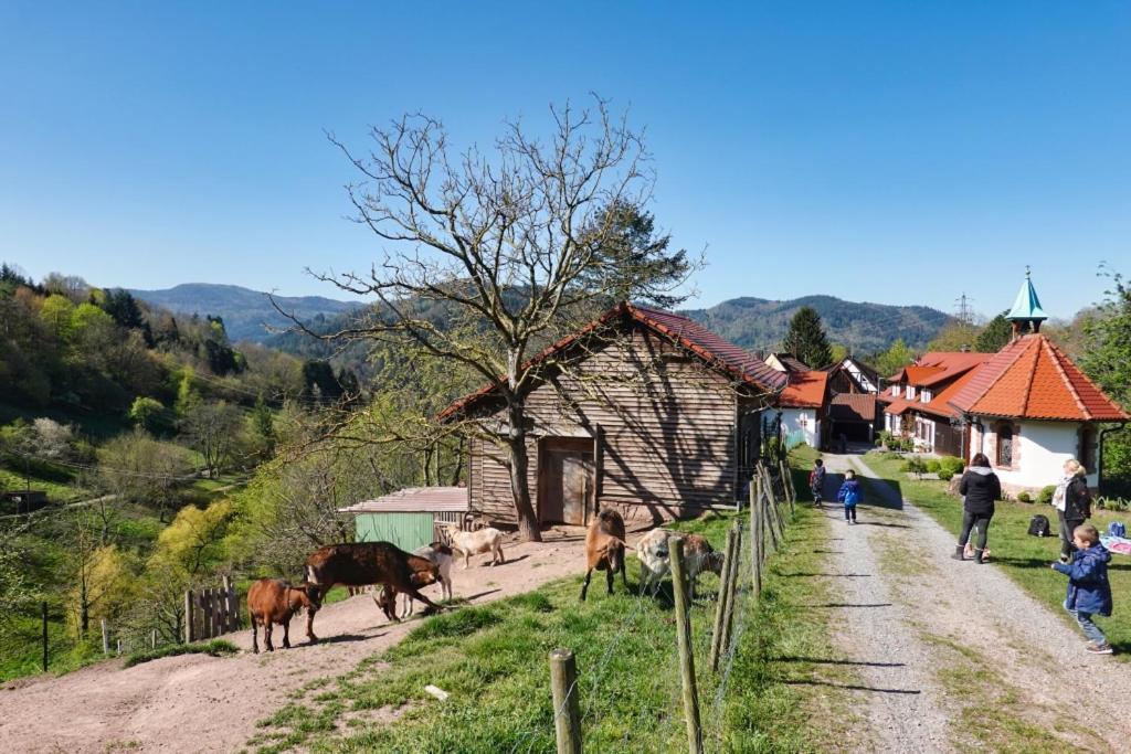 Eckberg Apartment Near City Centre & Nature バーデン＝バーデン エクステリア 写真